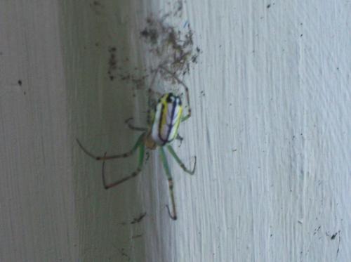 <img500*0:stuff/aj/6850/1244743757.jpg>
