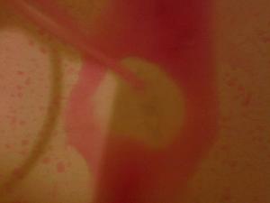 <img300*0:stuff/aj/9336/1339435092.jpg>