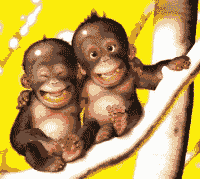 <img:stuff/aj/9841/1306137349.gif>