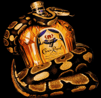 <img:stuff/aj/9841/1306249792.gif>