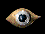 <img:stuff/aj/9841/1306303533.gif>