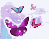 <img:stuff/aj/9841/1306534176.gif>