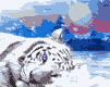 <img:stuff/aj/9841/1306535217.gif>