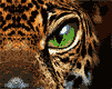 <img:stuff/aj/9841/1306554340.gif>