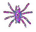 <img:stuff/aj/9841/1306808123.gif>