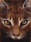 <img:stuff/aj/9841/1306823284.gif>