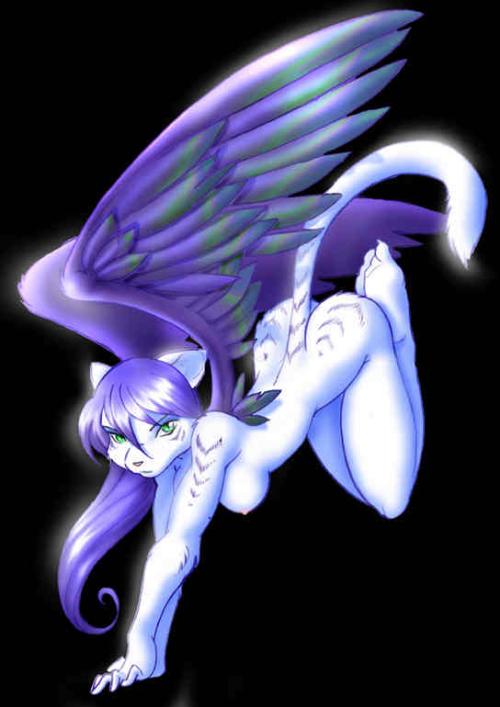 <img500*0:stuff/aj/9841/1312649964.jpg>