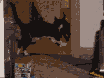 <img:stuff/aj/9841/1316523417.gif>