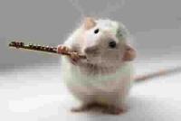 <img200*0:stuff/aj/9841/1423124967.jpg>