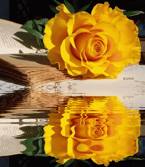 <img:stuff/aj/9841/1452272214.gif>