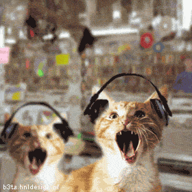 <img:stuff/aj/9841/1543540299.gif>