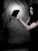 black_beauty