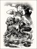 cephalopod_courtesan