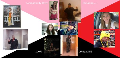 <img0*243:stuff/compatibility.jpg>
