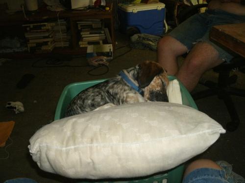 <img500*375:stuff/cuteZX.jpg>