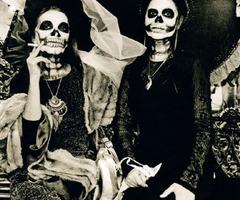 <img0*200:stuff/dotd.jpg>
