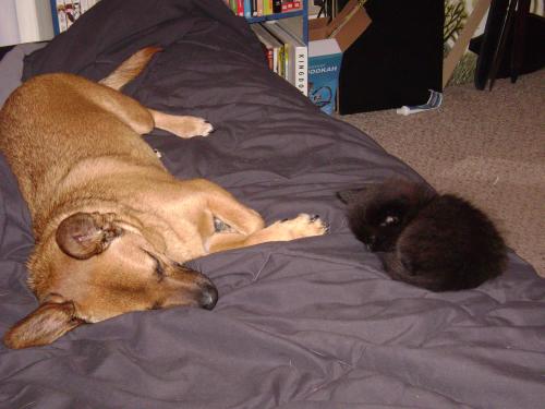 <img500*375:stuff/family.jpg>
