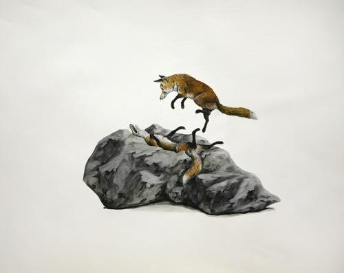<img0*397:stuff/foxes.jpg>