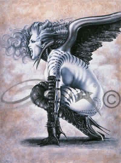<img0*538:stuff/lady_wyntyrloves_familar--DC.jpg>
