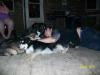 me_n_my_dogs