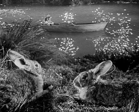<img0*372:stuff/night_hunter_rabbits.jpg>