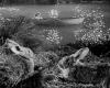 night_hunter_rabbits