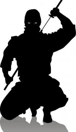<img0*504:stuff/ninjaOP.jpg>