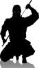 ninjaOP