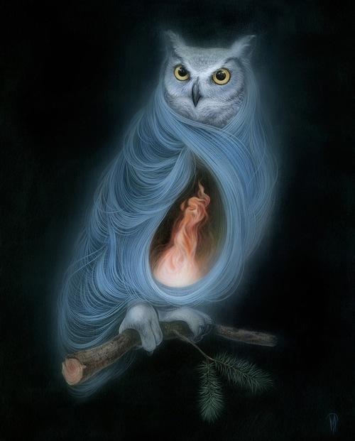 <img0*621:stuff/owl.jpg>