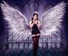 photoshoot_super