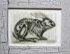 skeleton_sketch_(lapin)