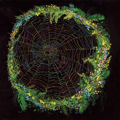 <img0*500:stuff/spider_spring.jpg>