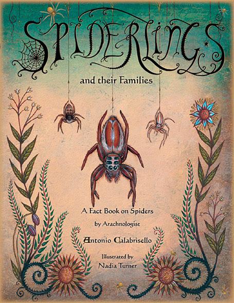 <img0*590:stuff/spiderlings.jpg>