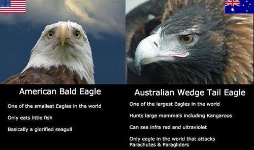 <img500*295:stuff/straya.jpg>