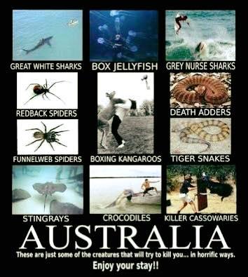 <img0*395:stuff/straya_mate.jpg>