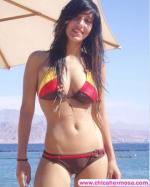 <img150*0:stuff/tr/foto155.jpg>