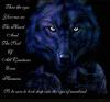wolf