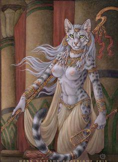 <img0*325:stuff/x45_BN.jpg>