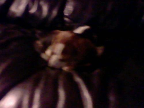 <img500*375:stuff/xerQWVB.jpg>
