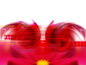 <img0*250:stuff/z/8282/Windows%2520XP%2520Wallpaper/Moon%20flower.jpg>